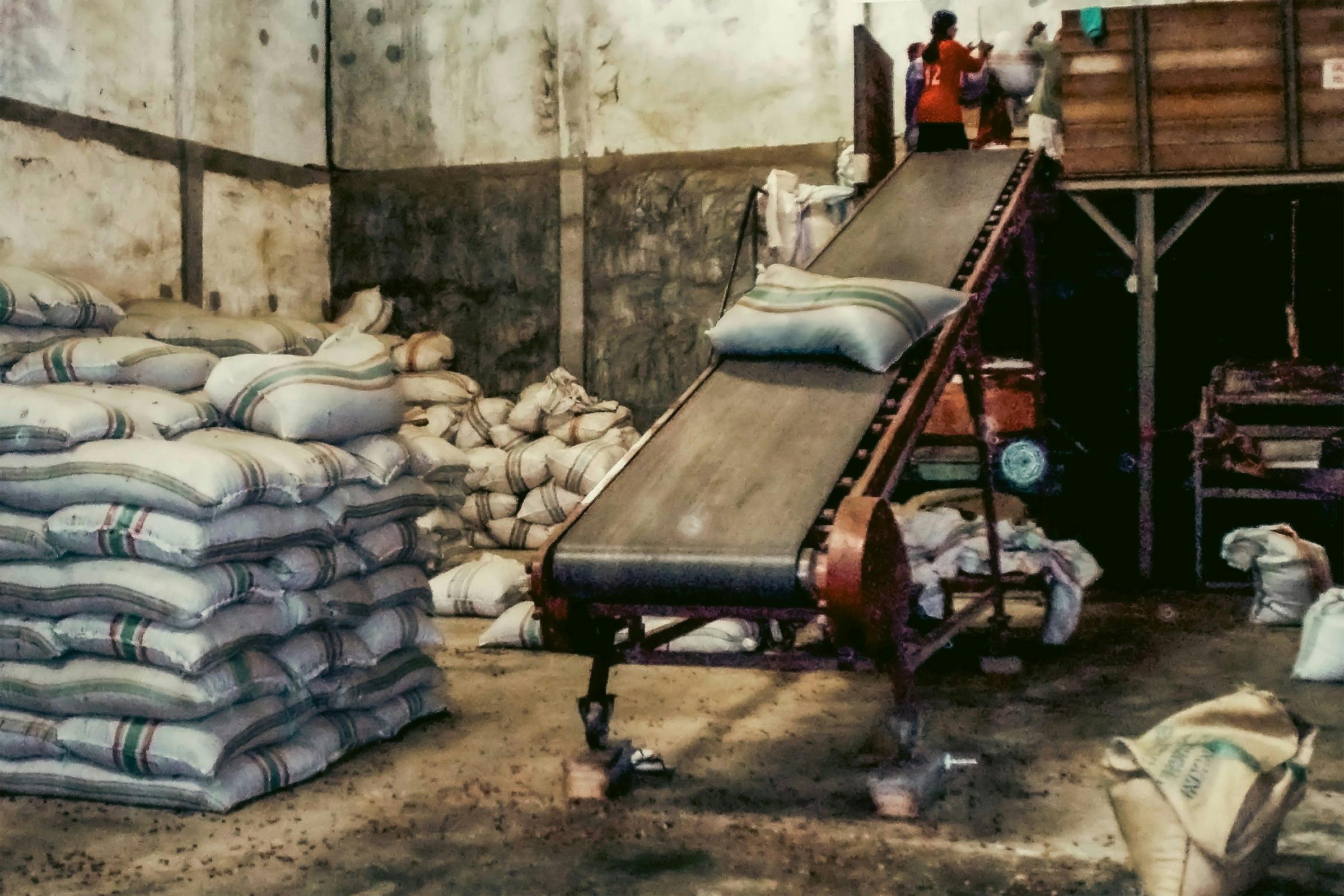Inclined belt conveyor loading sacks beside stacked bags in a warehouse